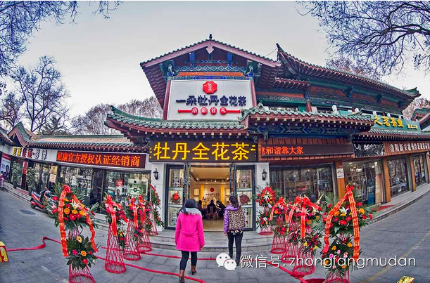 一朵牡丹全花茶王城公園體驗店在元旦開業啦！